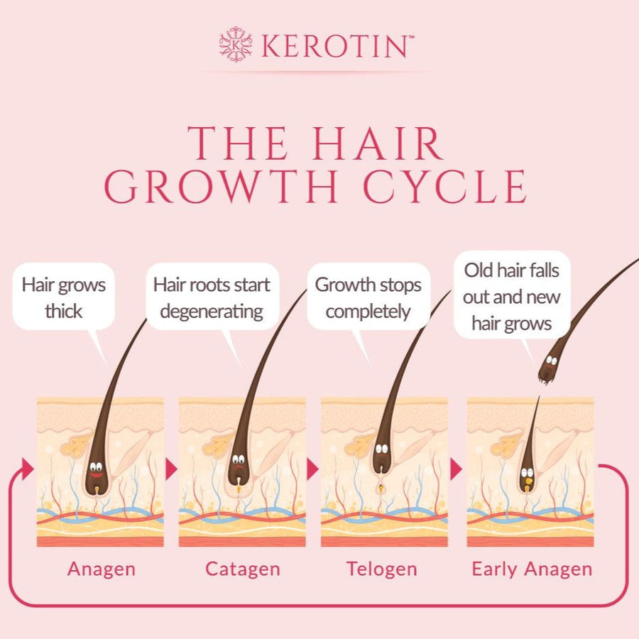 How Long Does It Actually Take to Regrow Hair?
