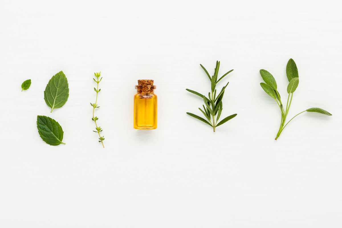 Top 10 Science-Backed Ingredients for Healthy Hair