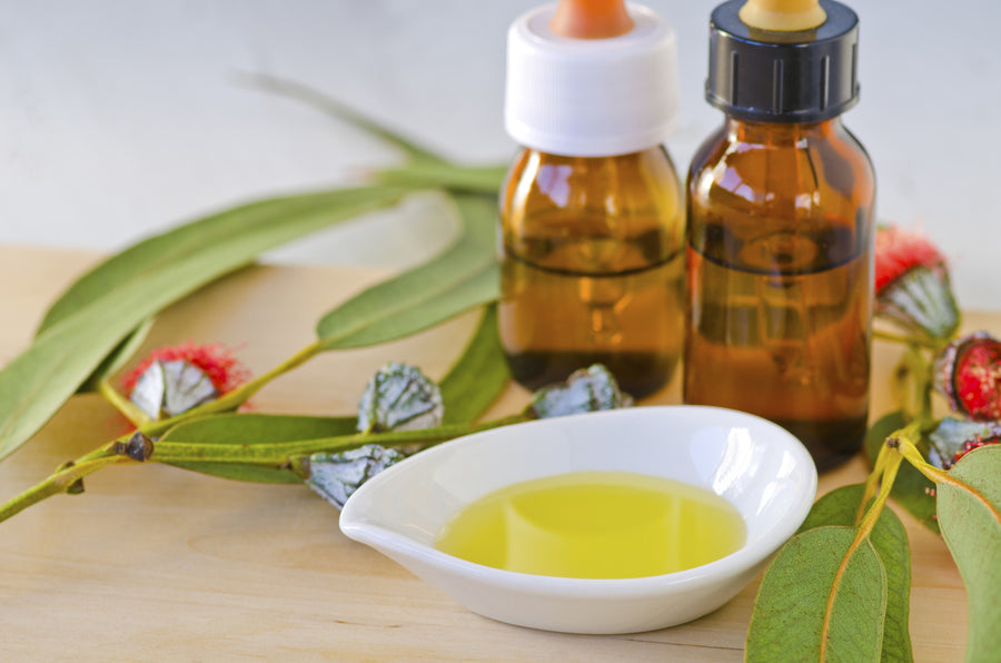 Let’s Talk Eucalyptus