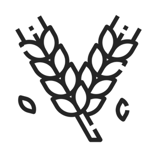 Hydrolyzed Barley Protein