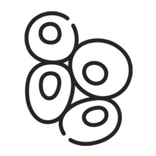 Apple Stem Cell Extract