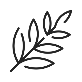 Fireweed Plant Extract